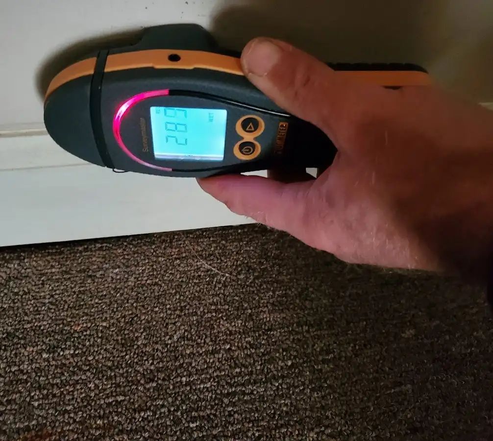 Moisture detection at baseboard during Sewage Cleanup & Sanitation in Natchitoches